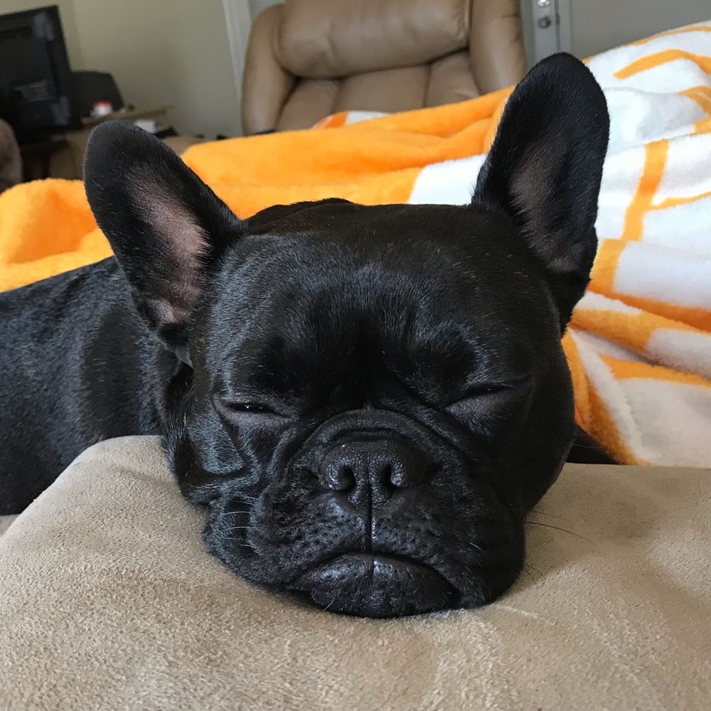 Lazy Weekend Naps